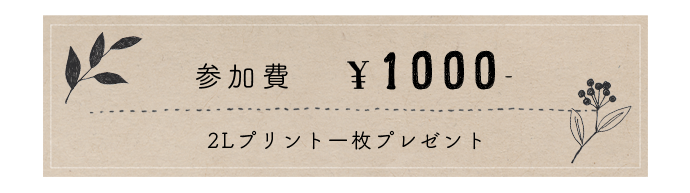 内容4