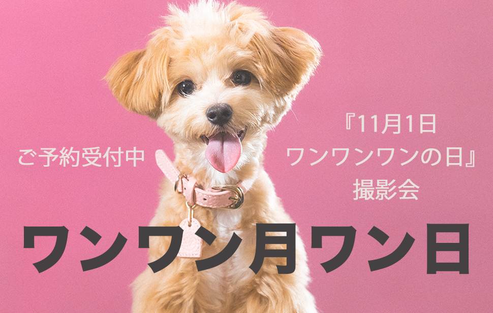 『ワンワンワンの日』撮影会