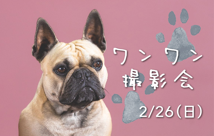 ワンワン撮影会