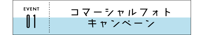 c1-1