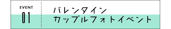 cp1-1