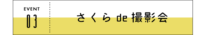 f3-1