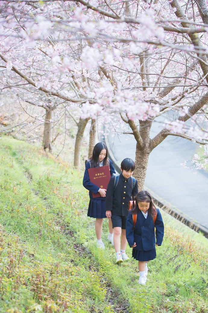 卒業入学Photo with 桜