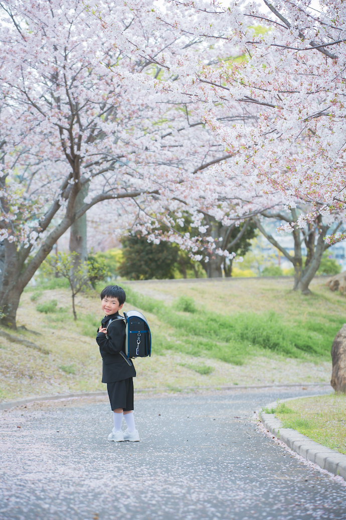 桜撮影会の枠が残りわずかとなりました。