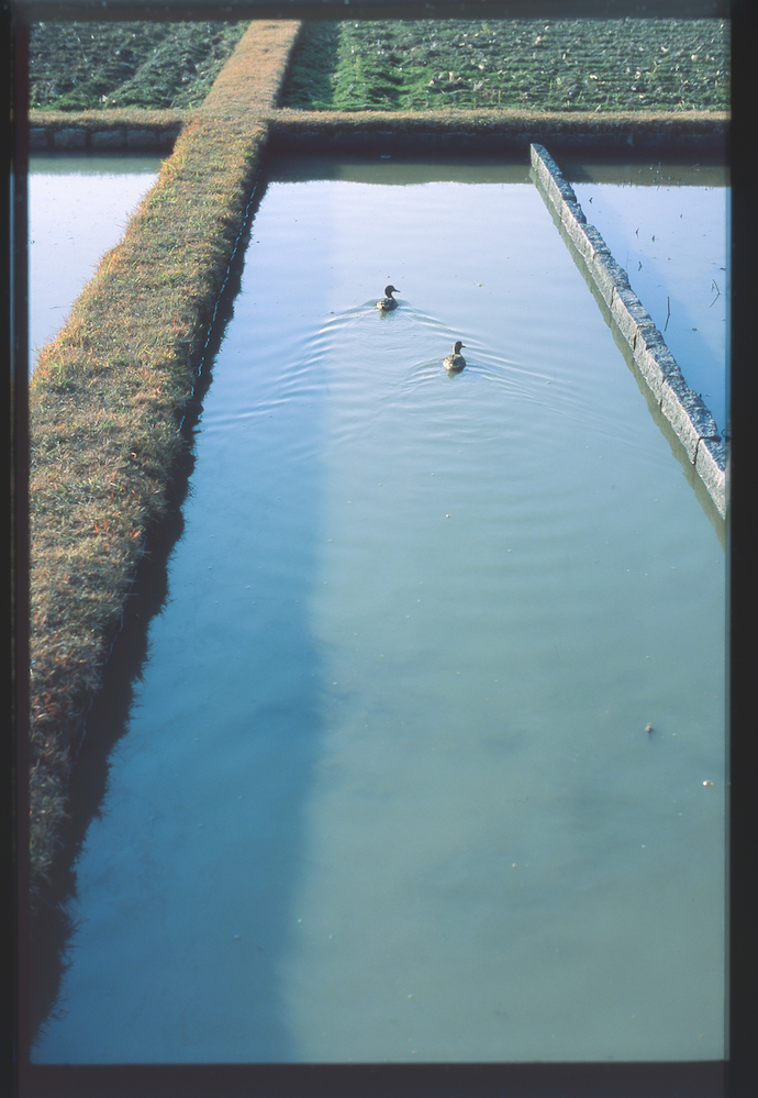 髙田カメラマンブログ６１『フィルム写真の続き』