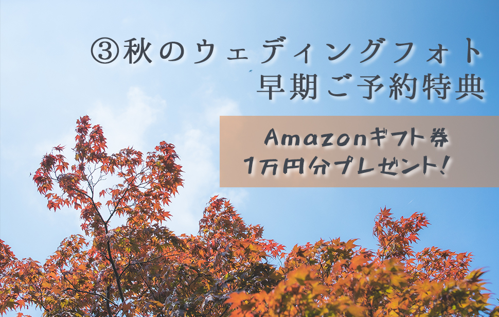 アマゾn