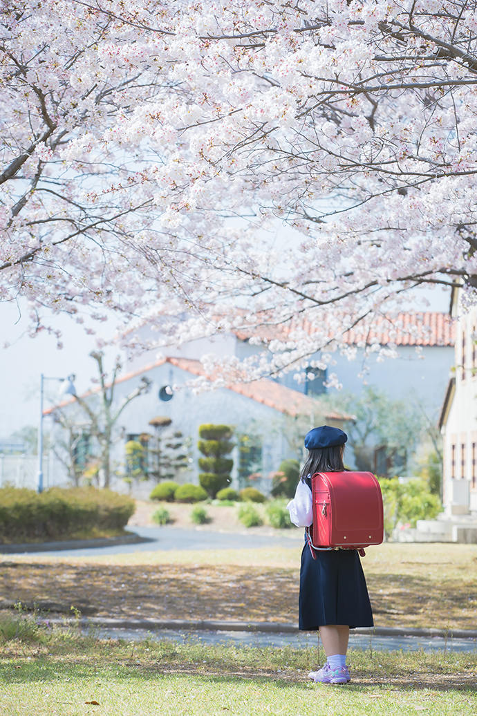 2024桜撮影会ご予約受付中！